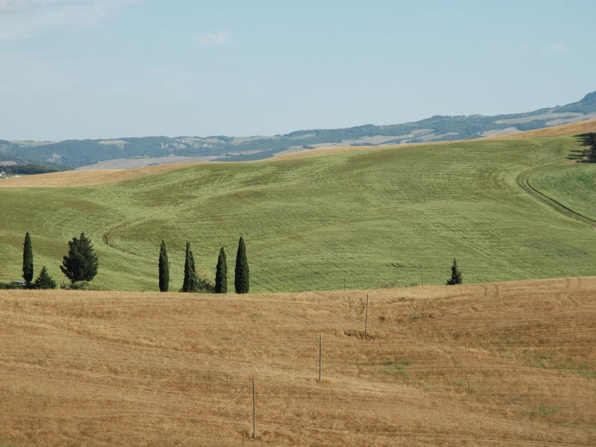 Spacious Farmhouse In Pienza With Swimming Pool Apartment Contignano Ngoại thất bức ảnh